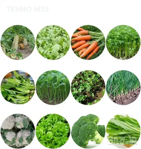 РЪЧНА СЕЯЛКА С 4 РЕДА #56803, снимка 2 - Други - 50387289