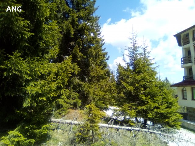 Продава парцел в к.к. Пампорово , снимка 2 - Парцели - 36934032