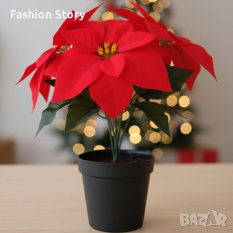 Вечна празнична Коледна звезда – реалистична украса, снимка 2 - Декорация за дома - 52497219