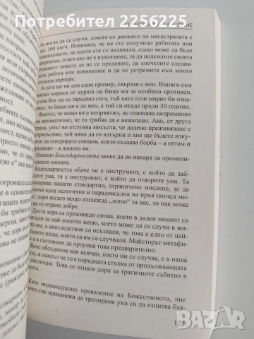 Божественото решение, снимка 2 - Художествена литература - 53509102