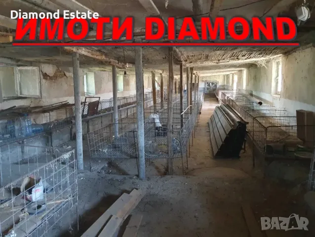 Ферма за патици село Караджалово обл. Пловдив, снимка 5 - Други - 48049961