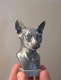 Sphynx Cat Bust /Канадски сфинкс котка, снимка 1