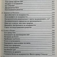 Кратка история на всичко Кен Уилбър, снимка 5 - Специализирана литература - 28759870