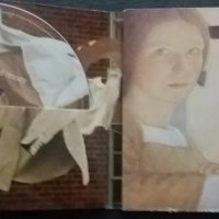 СД - Kate Bush ‎ "Aerial " A Sky Of Honey CD2/2 Full - 2 CD, снимка 2 - CD дискове - 27705515