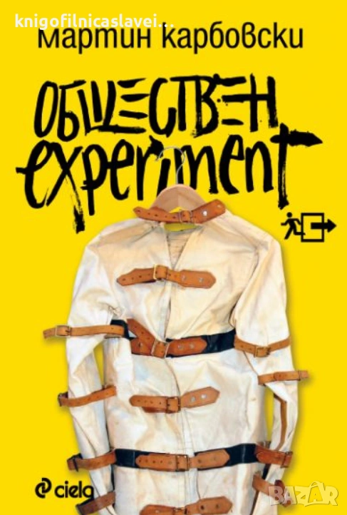 Мартин Карбовски - Обществен experiment (2013), снимка 1