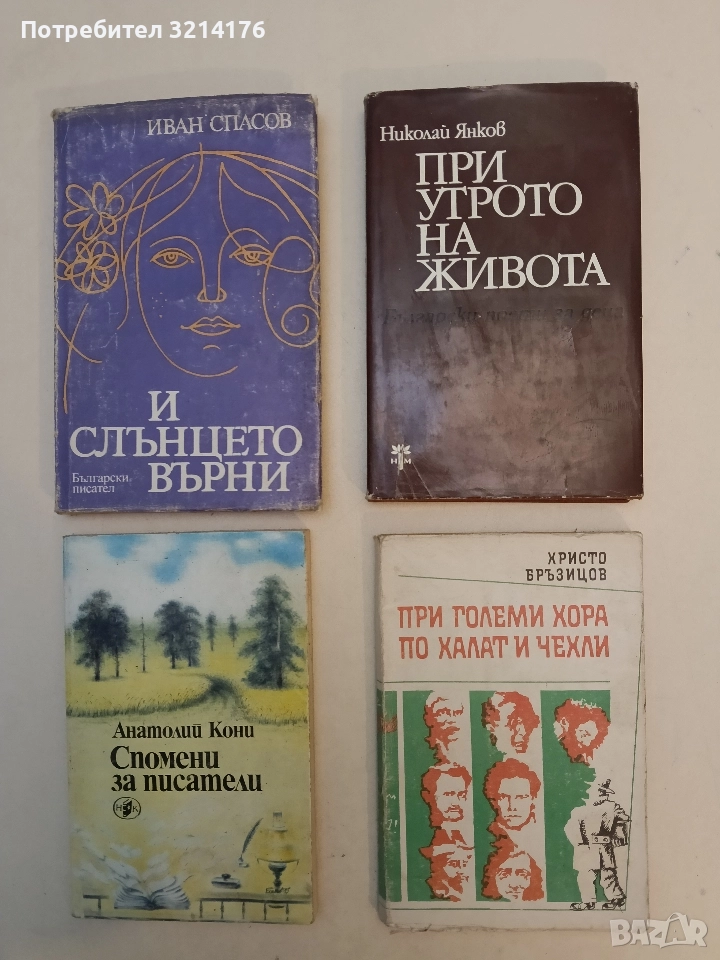 При големи хора по халат и чехли - Христо Бръзицов, снимка 1