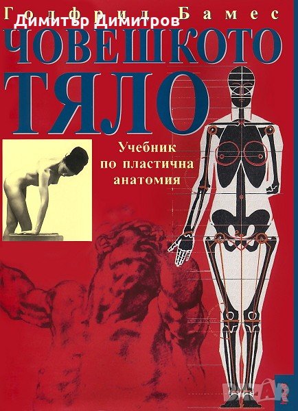 Човешкото тяло - учебник по пластична анатомия Годфрид Бамес, снимка 1