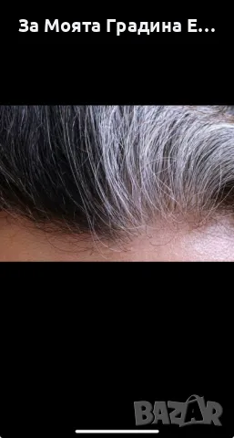 Шампоан против бели коси Softto plus black hair, brown hair , снимка 8 - Продукти за коса - 49688601