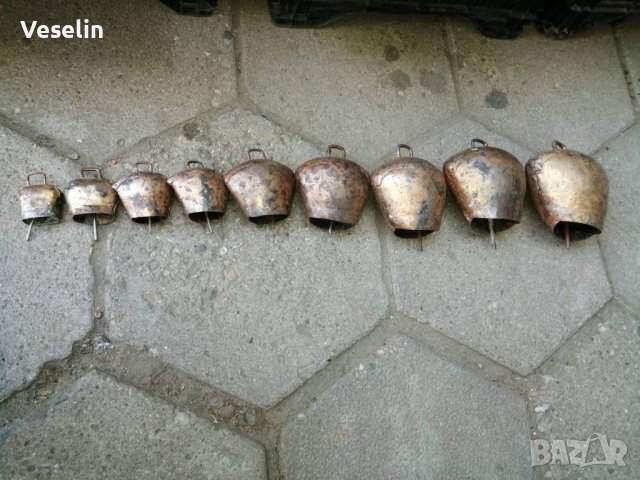 Хлопки със колани и без колани (ново) размера се определя в сантиметри  от най малката до нахлопка., снимка 7 - Крави - 37797542