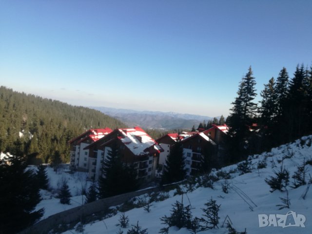 Апартамент Никол - Пампорово , снимка 9 - Почивки на планина - 32423169