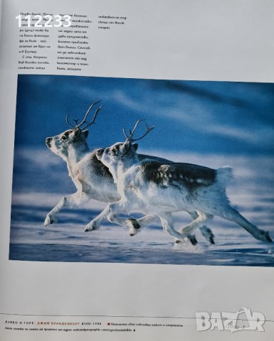National Geographic 100-те най-добри снимки на животн, снимка 2 - Списания и комикси - 37161902