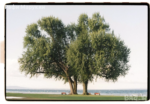 ПРЕСТИЖНИЯТ филмов обектив "ZUIKO-1,8/50 mm MC", снимка 6 - Фотоапарати - 53075556