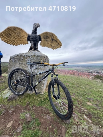 Продава се Ram