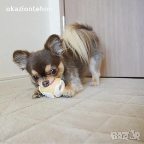 Lanco 8424678001923 Яйце приятелка; 100% естествен каучук, снимка 2 - За кучета - 52067740