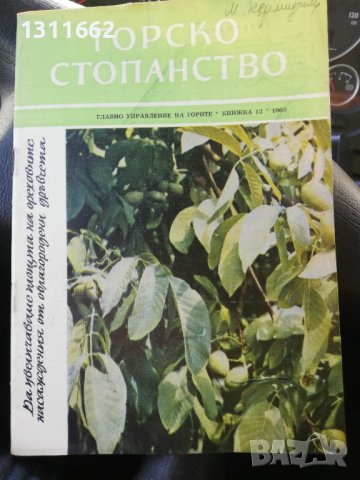 Горско стопанство - списание 1965 година, снимка 2 - Специализирана литература - 43550749