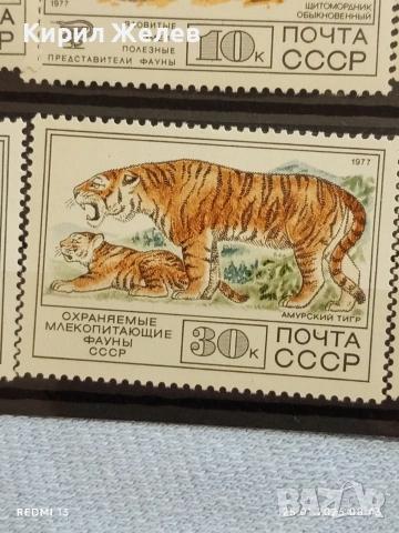 Стари пощенски марки чисти без печат СССР редки за КОЛЕКЦИЯ ДЕКОРАЦИЯ 52005, снимка 6 - Филателия - 53217436