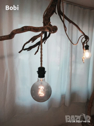 Полилей "RootLight", снимка 2 - Полилеи - 51327342