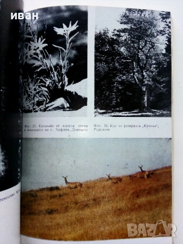 Защитени природни обекти - М.Тошков,С.Милославов,Л.Маринов - 1984г, снимка 5 - Енциклопедии, справочници - 53125812