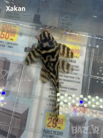 L 401- 2 женски, снимка 7 - Рибки - 49300336