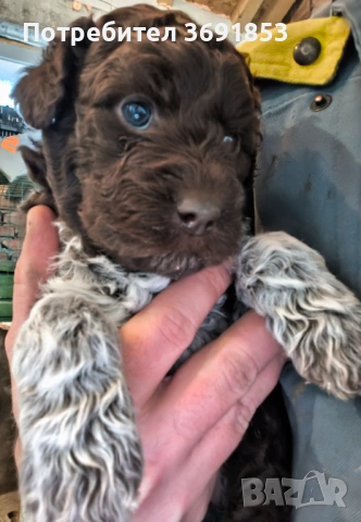 Лагото Романьоло, снимка 5 - Други - 53235315