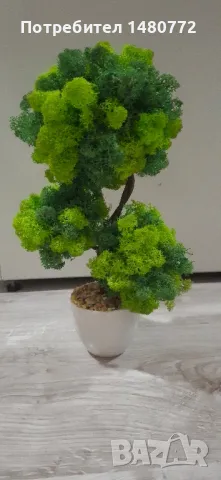 Бонсай със скандинавски мъх в саксийка, снимка 7 - Декорация за дома - 48125215
