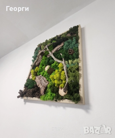Картини със скандинавски мъх, снимка 5 - Картини - 52174345