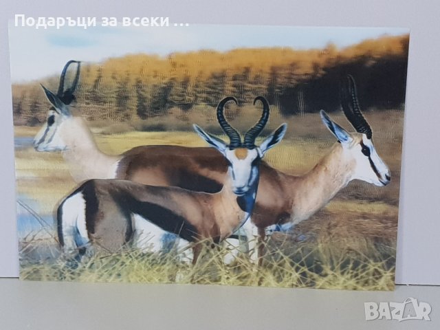 3D Картинa/Поставка  Цена за 10 броя 9.90лв , снимка 5 - Картини - 43740796