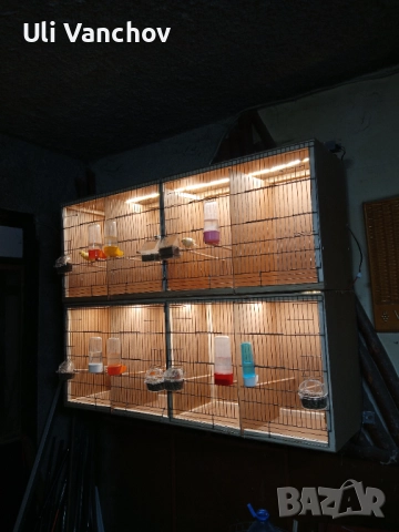  кафези за канари