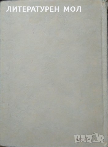 Съвременни детски поети. Михаил Василев 1968 г. Литературни изследвания, снимка 4 - Художествена литература - 28561777