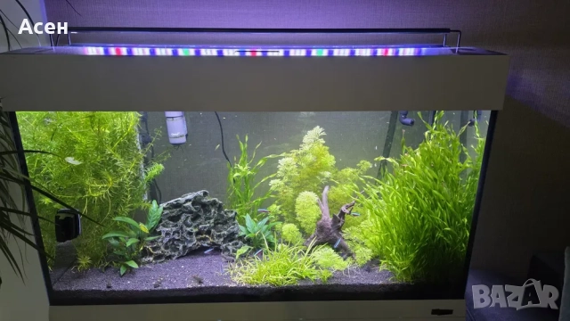 Аквариум Ferplast 125l комплект, снимка 3 - Аквариуми - 52799319