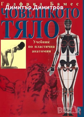 Човешкото тяло - учебник по пластична анатомия Годфрид Бамес