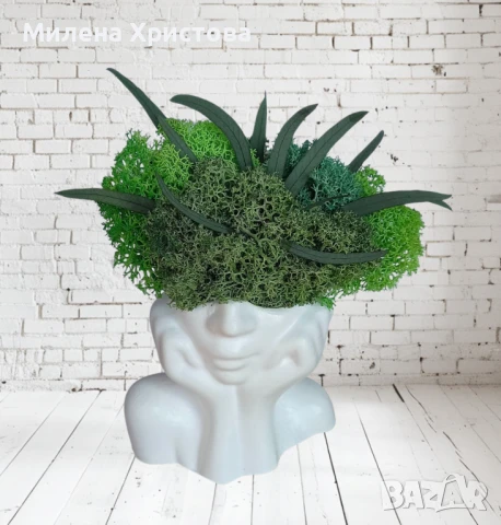 Кашпа със скандинавски мъх 