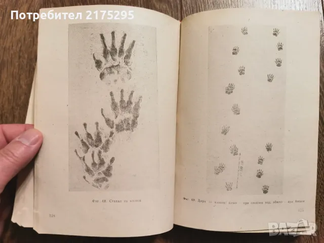 Наръчник на ловеца и риболовеца-Земиздат 1974г., снимка 7 - Специализирана литература - 49699300