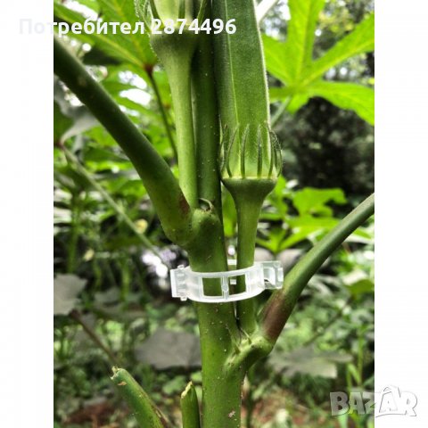 3691 Комплект 50 броя клипс за поддържане на домати и растения, снимка 8 - Други - 37652208