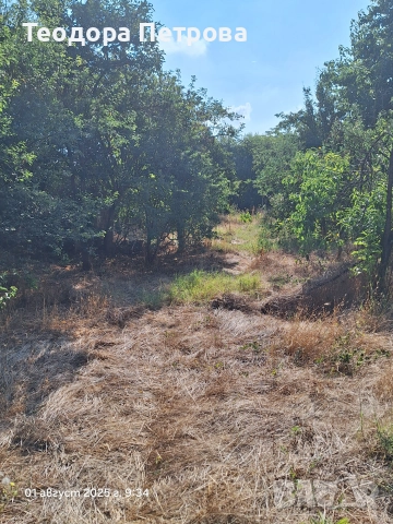 Парцел със стара къща за събаряне, снимка 2 - Парцели - 41017971