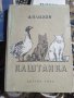 Каштанка,А.П.Чехов,1950г,детска книга , снимка 1 - Антикварни и старинни предмети - 40350604