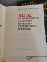 Атлас по топографска анатомия на селскостопанските животни Том 1, 2 и 3, снимка 2