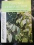 Горско стопанство - списание 1965 година, снимка 2