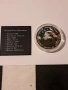 Лимитирана колекционерска сребърна монета " Stained glass nightmare" ., снимка 3