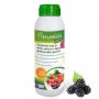 Органичен тор за ягоди, малини и други дребноплодни храсти ГРАДИНКАТА – концентрат - 0.5 л , снимка 1 - Тор и почвени смеси - 28865020