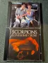 Scorpions , снимка 7