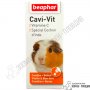 Beaphar Cavi-Vit 20ml - Мултивитамини за морски Свинчета, снимка 1 - Стоки за гризачи - 35537477