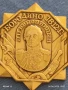 Рядка значка БОРОДИНО П.П. КОНОВНИЦЬН 1813г. уникат за КОЛЕКЦИОНЕРИ 50106, снимка 2