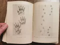 Наръчник на ловеца и риболовеца-Земиздат 1974г., снимка 7