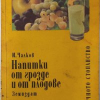 Напитки от грозде и от плодове, Иван Чалков(12.6), снимка 1 - Специализирана литература - 43267665