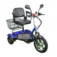 Електрически триколки със задно задвижване - нови, снимка 1 - Мотоциклети и мототехника - 32745950