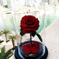 стъкленица с роза, снимка 6 - Романтични подаръци - 43259554