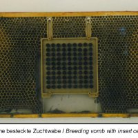 Защитна клетка арт.№ 040 Schutzzellen mit Futterstopfen (10 бр), снимка 15 - За пчели - 33045170