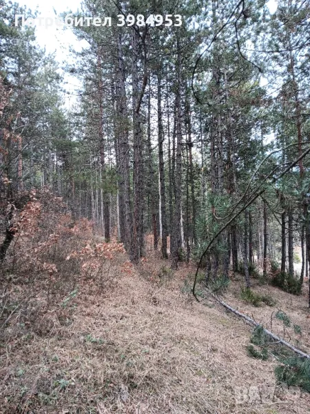 ИЗГОДНО ритловици дървен материал , снимка 1