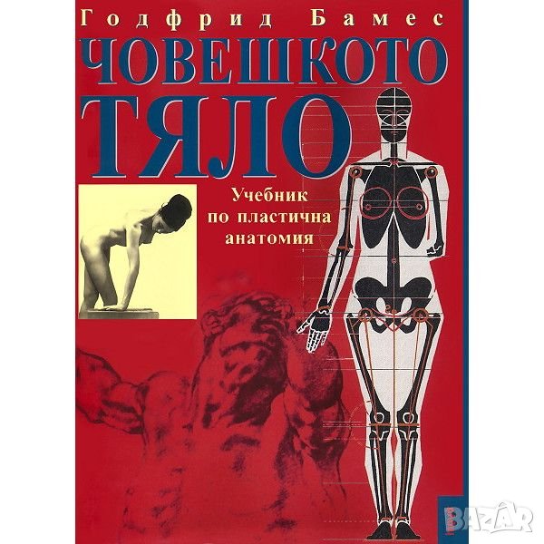 Човешкото тяло Учебник по пластична анатомия Годфрид Бамес , снимка 1